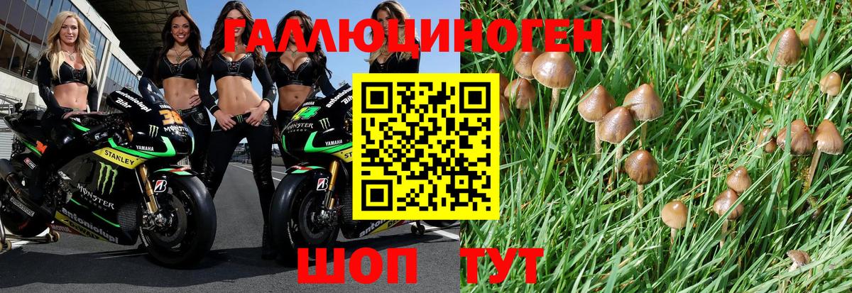Галлюциногенные грибы прущие грибы Топки