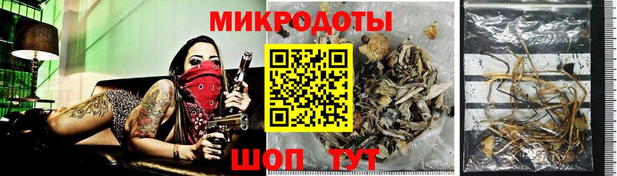 Топки  Псилоцибиновые грибы Psilocybe  Вход с VPN  Псилоцибиновые грибы GOLDEN TEACHER 